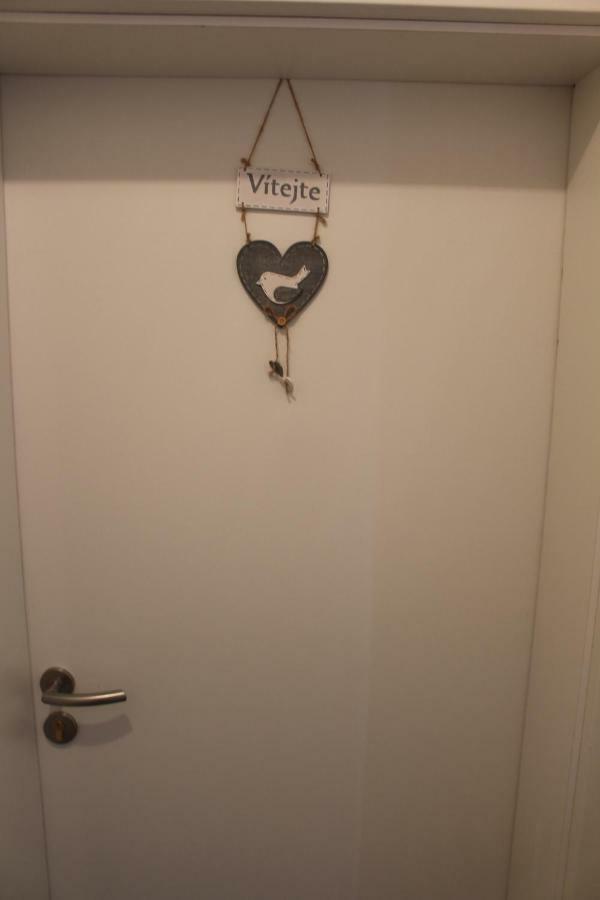 Apartmán Venkovský apartmán Stožec Exteriér fotografie